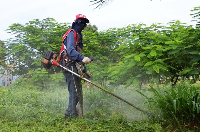 Aumentan esfuerzos de limpieza y desmalezamiento en espacios publicos de Guacara Noticias 24 Carabobo