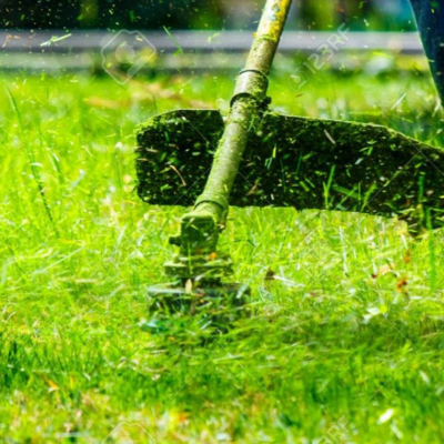 Design sans titre 37