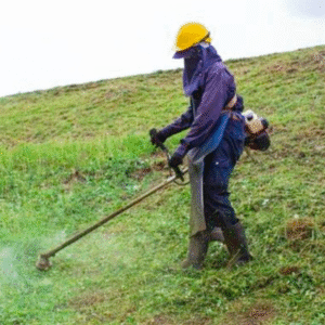 Design sans titre 43