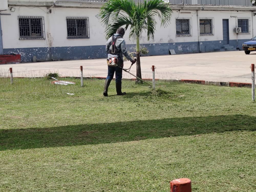 WhatsApp Image 2025 05 22 at 15.04.12