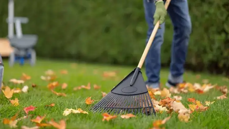 TOP 5 des meilleurs engrais dautomne pour la pelouse